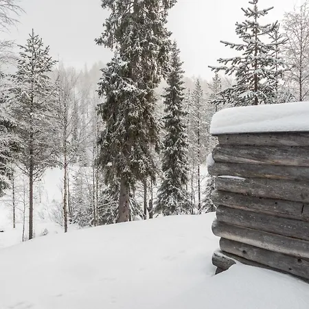 Semesterbostad Salmikangas F1 By Interhome Ruka