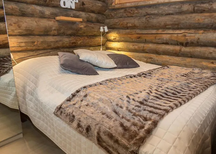 Salmikangas F1 By Interhome Ferienhaus *