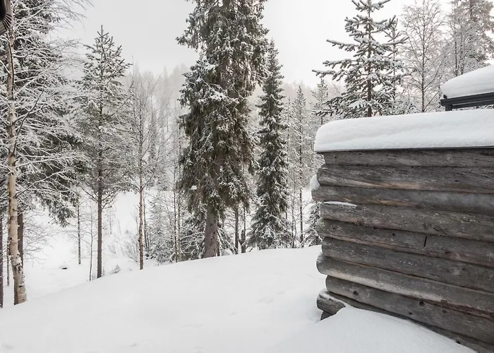 Ferienhaus Salmikangas F1 By Interhome Ruka