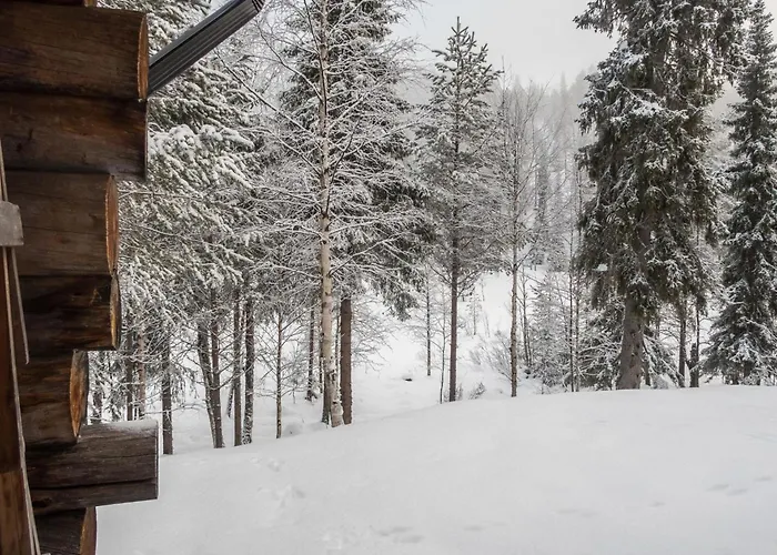 Salmikangas F1 By Interhome